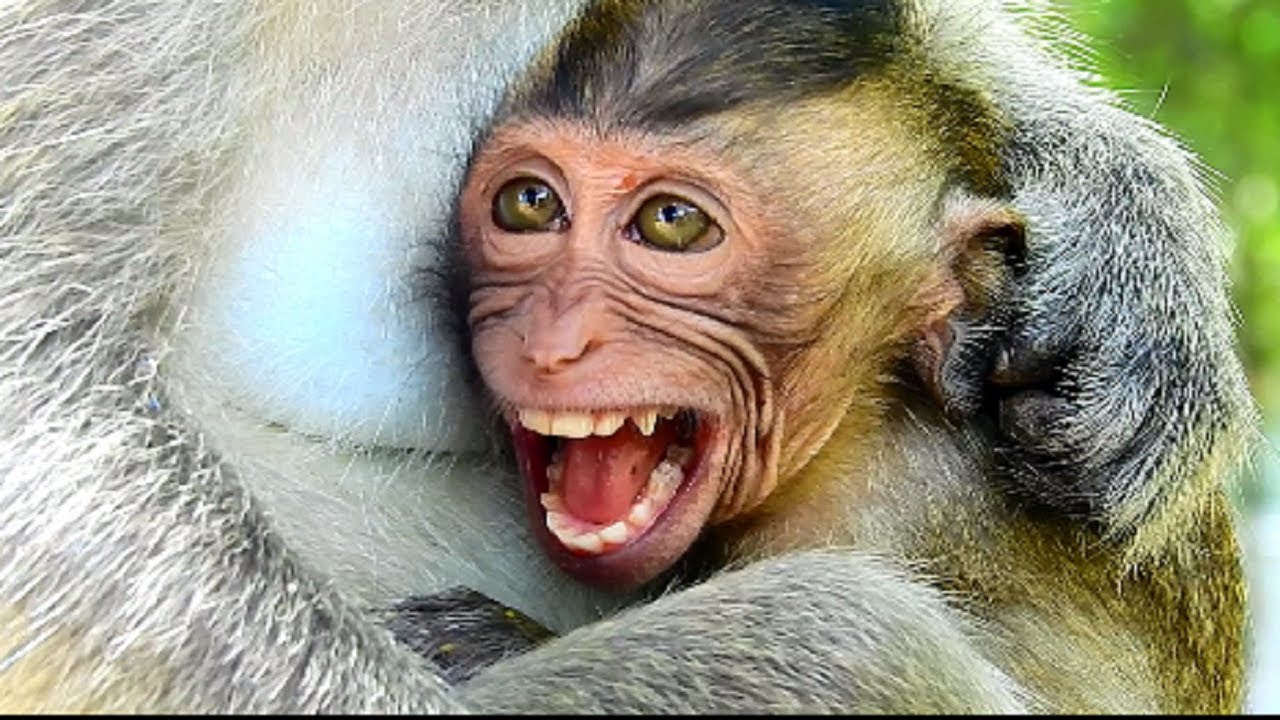 million pieces of heart drop on earth, Why Elino cry seriously like this, Sadness baby , Poor baby 1