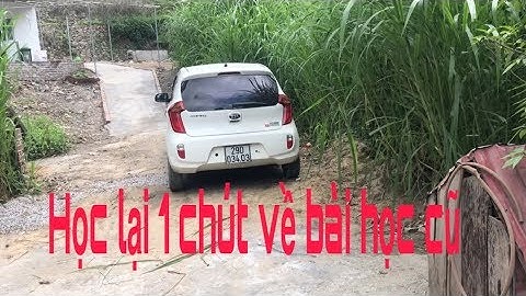 Dúi trung quốc | Dúi mốc đại | Vài điều chú ý khi làm ô nuôi | Chuột Tre 360