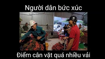 Người dân bức xúc, điểm cân vải thiều Lục Ngạn vặt vải quá nhiều, 24/6/2023