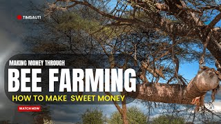 Is Bee Farming in Kenya Worth It Profits, Challenges & Secrets (KIKAMBA VERSION)