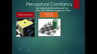 Ch 3 4 Cognition Perceptual Constancy