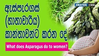 ඇසපරගස හතවරය කනතවනට කරන ද Health Benefits Of Asparagus