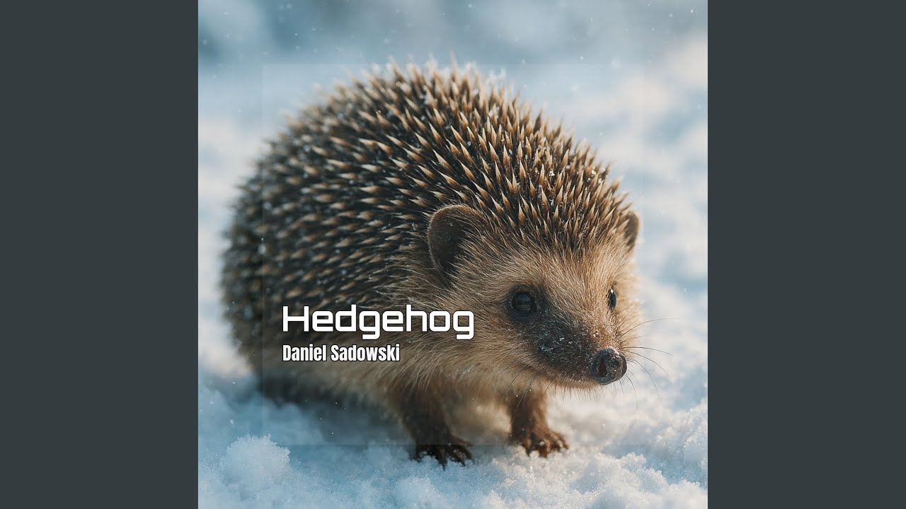 Watch Hedgehog on YouTube Watch Hedgehog on YouTube