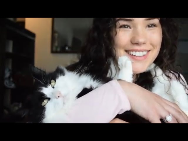 ASMR WHISPERS and HAND SOUNDS