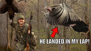 He Landed IN MY LAP! Biggest Gobbler of My Life