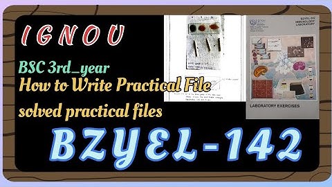 BZYEL-142 practical file || how to write ignou bscg practical files full guides || IGNOU 📖 B.SC.  