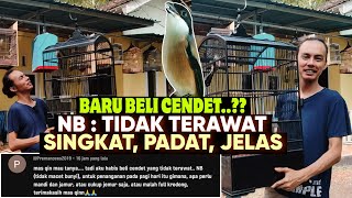 Download Lagu INI CARA MUDAH MERAWAT CENDET BARU BELI || NB : TIDAK TERAWAT, AGAR CENDET CEPAT GACOR MP3 Download Lagu INI CARA MUDAH MERAWAT CENDET BARU BELI || NB : TIDAK TERAWAT, AGAR CENDET CEPAT GACOR MP3