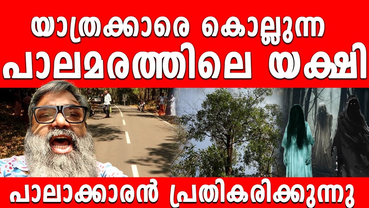 ബൈക്ക് യാത്രക്കാരെ കൊ/ല്ലു/ന്ന പാല/മരത്തിലെ യ/ക്ഷി | TrueTv News