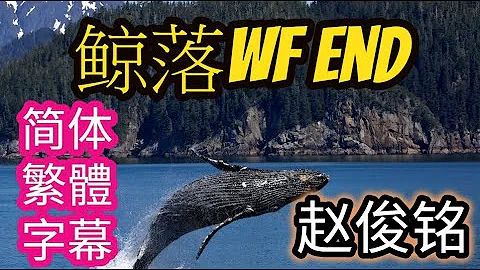 鲸落wf 鲸落wf