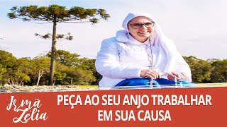 Ir. Zélia - Peça ao seu anjo trabalhar em sua causa