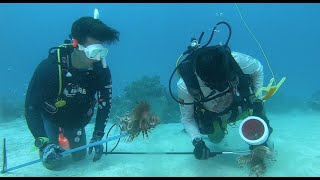 How to Spear Invasive Lionfish in the Florida Keys featuring Tyler Cameron