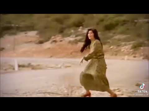 عبادي الاعماري يهل تنشد عليش نحيل واصفر 