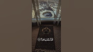 #مشاري_العفاسي #اكسبلور #quran #دويتو #duet #لايك #قرآن #راحة_نفسية #تلاوة_خاشعة