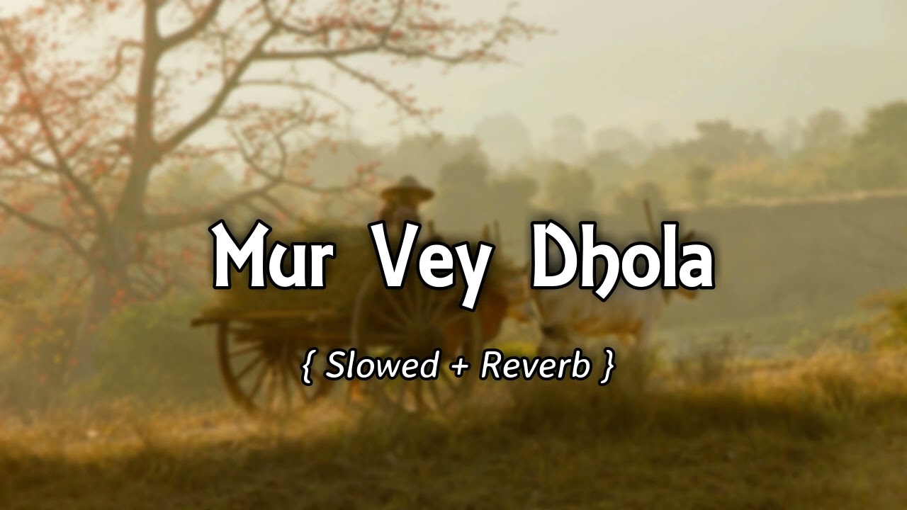 Mur Vey Dhola  Slowed And Reverb   Tahir Nayyer  Slowed  Reverb Song Lover