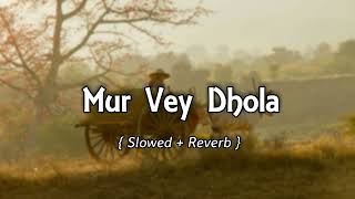 Mur Vey Dhola ( Slowed And Reverb ) | Tahir Nayyer | Slowed & Reverb Song Lover