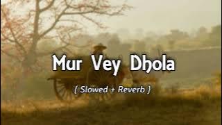 Mur Vey Dhola ( Slowed And Reverb ) | Tahir Nayyer | Slowed & Reverb Song Lover