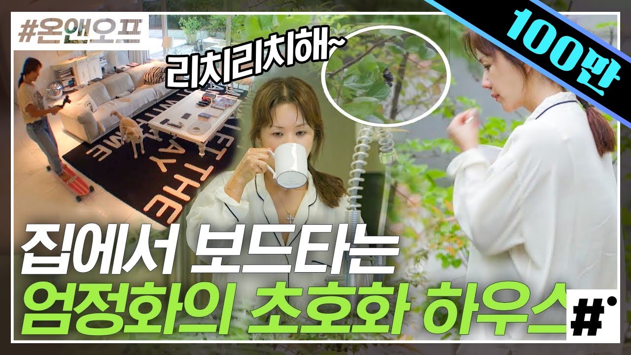 환불받으러 가기엔 너무 여린 만옥언니, 엄정화의 FLEX 인테리어❗️ 집에서 보드를 탈 수 있다니,,ㄴㅇㄱ 반려견과의 하루 너무 몽글몽글해,, | #온앤오프 #ing