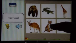 English audio flashcards - many categories