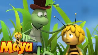 Maya to the rescue - Maya the Bee - Episode 10