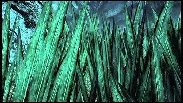 King Kong I Mission 7 I On Kongs Tracks