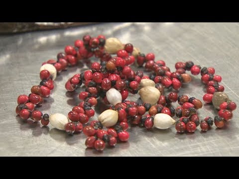 RDK Natural Original Red Gunja Ratti Chirmi Bead Rosary Pea Jaapmala Making  Beads for Meditation & Pooja Astrology Organic Jewellery - 51 Beads :  Amazon.in: Home & Kitchen