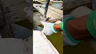 tips jepit steger bambu #seputarbangunan #satisfying
