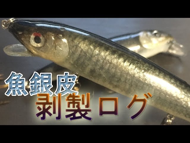 このカラーはだせない！魚銀皮の剥製だからできるこの深み