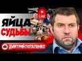 😳 США запретили Залужному наступать! Потапенко: куда идет война? Бунт у Шольца. Премьер-г€й Франции