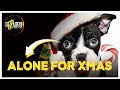 Alone for xmas  christmas movie   full english movie