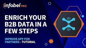 B2B Data Enrichment Process Step-by-Step | Improve.APP for Partners
