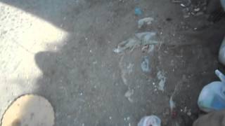 DSCN8826