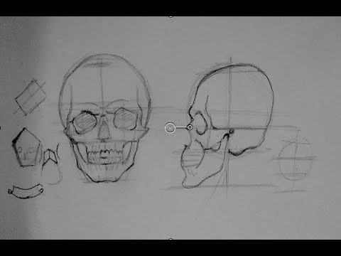 How to Draw the Human Head: Techniques and Anatomy