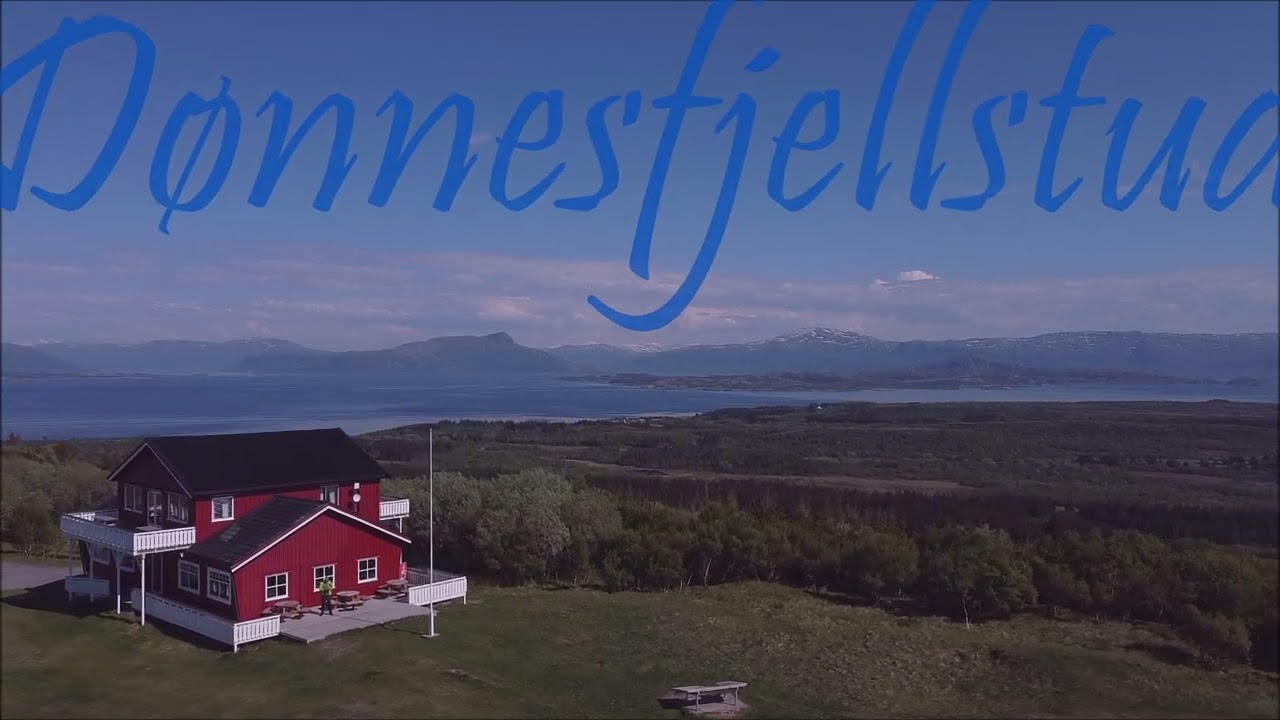 360 BIRD VIEW HERØY