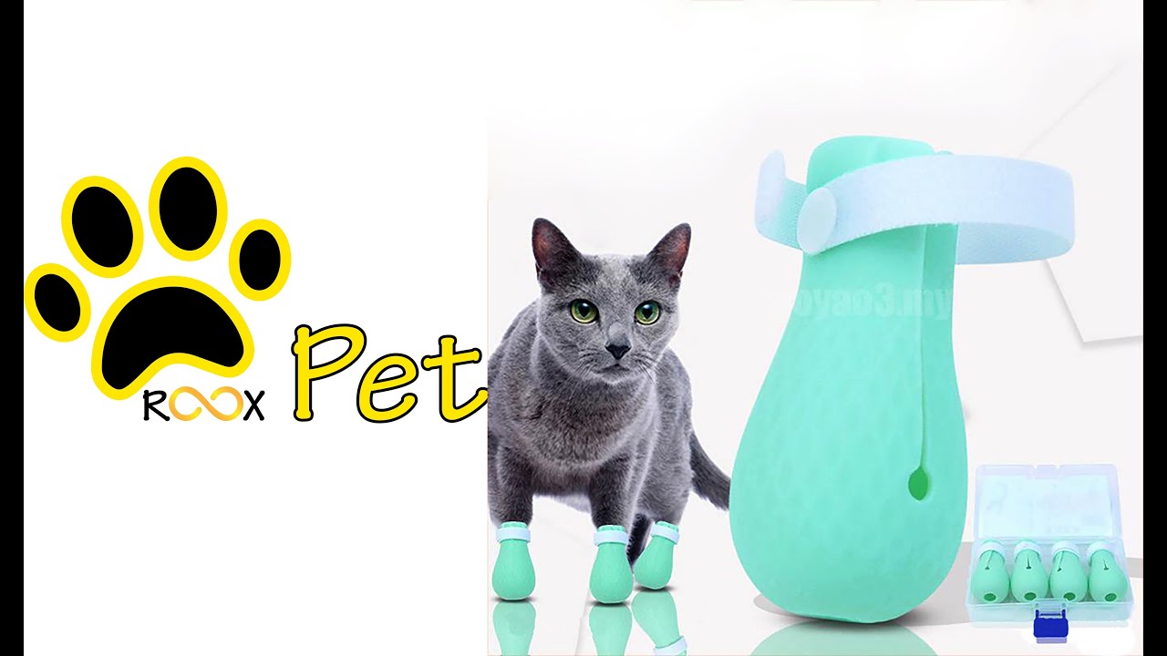 ROOXPET AntiScratch Shoes for cats YouTube