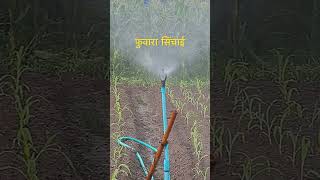 Modern farming फ़ुवारा सिंचाई सिस्टम