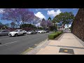 【4K】Brisbane, Fortitude Valley and River walk on a sunny day.