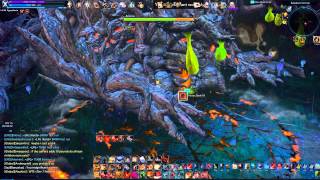Tera  - Ghilliglade HM [Noob] Warrior DPS