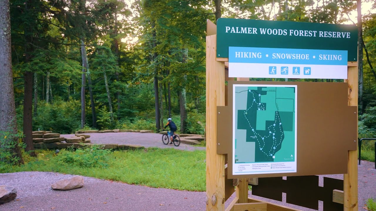 Northern Michigan Mountain Bike Association: Palmer Woods