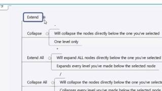 Celebrity XMind 7 Tutorial - Modify Menu Net Worth