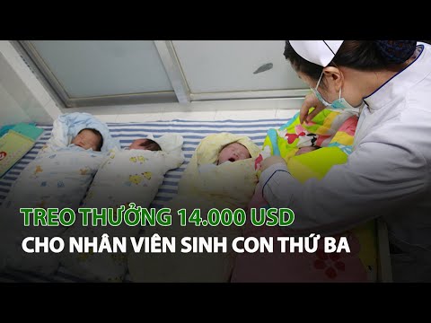 Nghị Định 176 Về Sinh Con Thứ 3 - Treo thưởng 14.000 USD cho Nhân viên sinh con thứ ba| VTC14