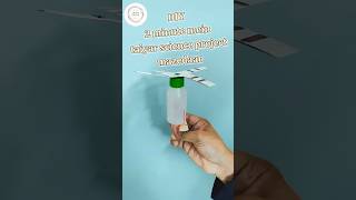 2 Minute Mein Taiyar Science Project Majedar | #2025 #diy #trending #viral