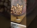 Wait… Have You Seen How Walnuts Are Cracked This Fast? 😳🌰