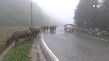 Bắc Bộ rét đậm, rét hại, nhiệt độ thấp nhất dưới 8 độ C