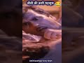 सिंगल लडको का दुख रात मे#viral funny moments#unmarried#singlekitaklifa