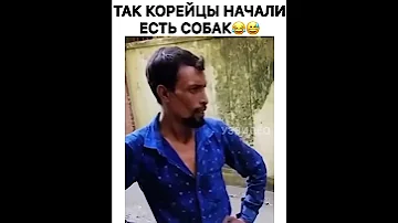 Так Корейцы начали есть собак :)))