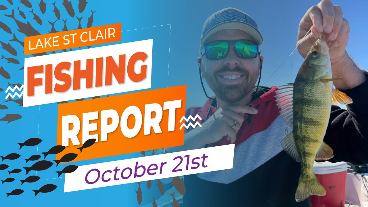 Lake St. Clair Fishing Report | October 21st