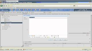 How-To: SilkCentral Test Manager Junit Setup