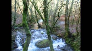 Senderismo por Galicia. Ruta polo río Xabriña