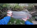 MAS de 15  minutos de pelea TRUCHA GIGANTE. || How to catch giant trout