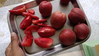Red Apricot          9418639010